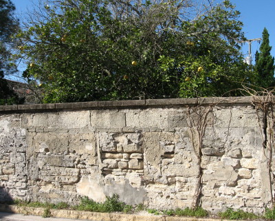 coquina-wall